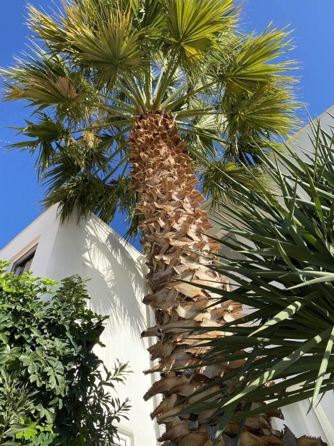 Villa Sezen Kalkan Esterno foto